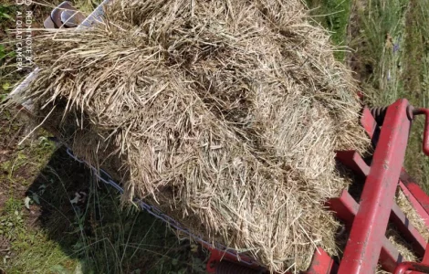 Лугове сіно в тюках, різнотравя. Урожай 2022 року. Доставка