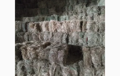 Сіно лугове в тюках