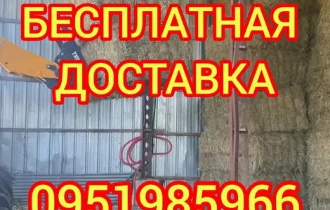 Сено, люцерна, солома, разнотравье. Возможна оплата по б/н
