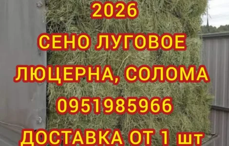 ДЛЯ ДЕКОРА, ФОТОСЕССИИ сено солома сіно в мешках, тюках. Доставка. Качество