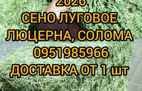 Продам 800т люцерни, лугового сіна. Наша доставка