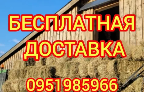 Сено с доставкой по Украине. Луговое (разнотравье), пырей, люцерна, солома в тюках мешках