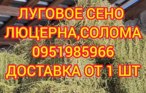 Сено с доставкой по Украине. Луговое (разнотравье), пырей, люцерна, солома в тюках мешках