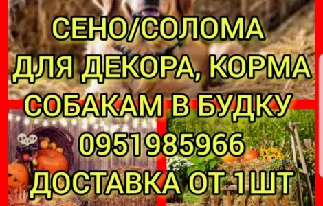 Собакам в будку сено солома в тюках мешках с доставкой на адрес. Отборное