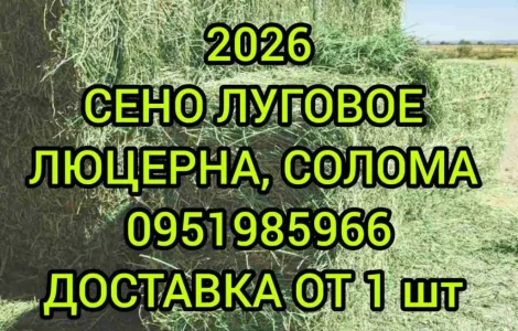 Собакам в будку сено солома в тюках мешках с доставкой на адрес. Отборное