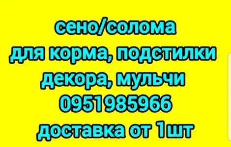 Продам сіно лугове, сіно люцерни з доставкою