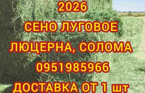 Продам сіно лугове, сіно люцерни з доставкою