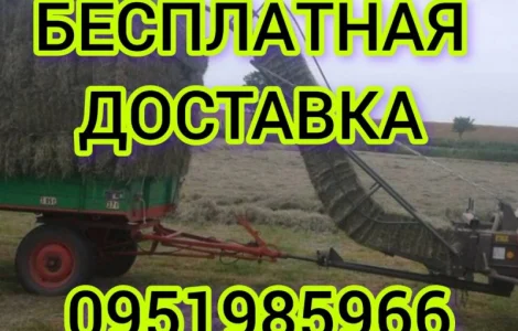 Большие объёмы в наличии. Сено с бесплатной доставкой по Украине. Луговое, люцерна, солома