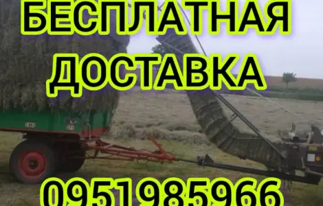 Великі обсяги в наявності. Сіно з безкоштовною доставкою по Україні. Лугове, люцерна, солома