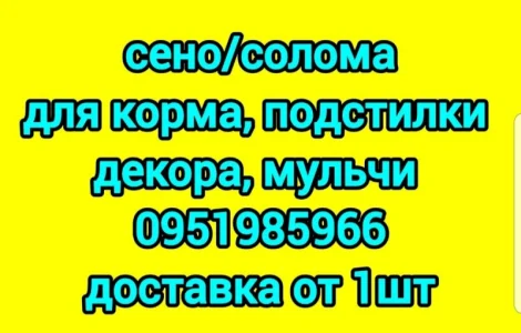 Экологически чистое сено в тюках. Большие объемы