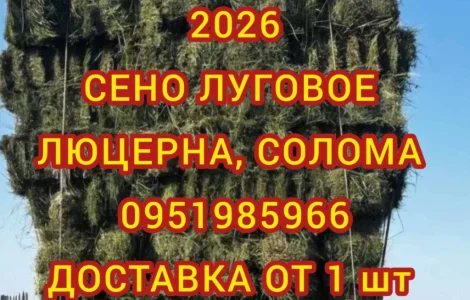 Екологічно чисте СІНО в тюках. Великі обсяги