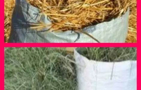 В продажу сіно в тюках (лугове, люцерна, солома). Доставка. Нал, б/н