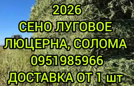 В продажу сіно в тюках (лугове, люцерна, солома). Доставка. Нал, б/н