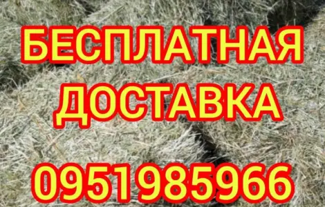 Сено в тюках мешках (лугове, різнотрав'я, пирій, люцерна), солома із зернових. Доставка