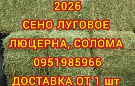 Сено в тюках мешках (лугове, різнотрав'я, пирій, люцерна), солома із зернових. Доставка