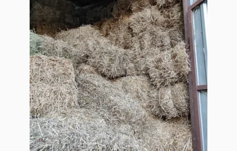 Сіно і тюках