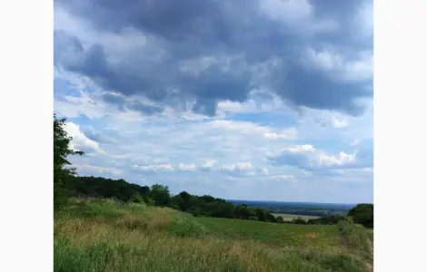 Продам сіно із люцерни, гарне