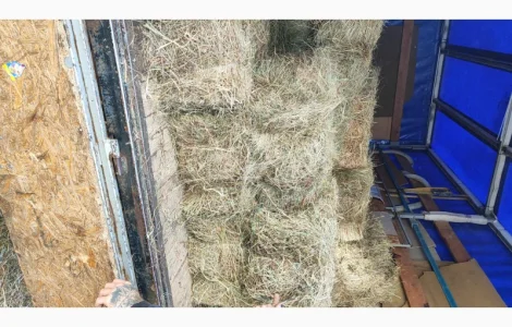 Сіно в тюках - лугове