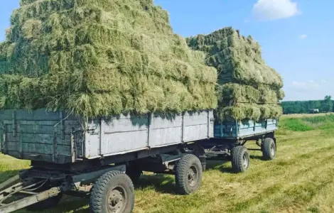 Продажа сена