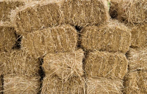 Сено тюки