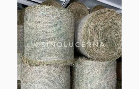 Продам сіно люцерни в круглих тюках