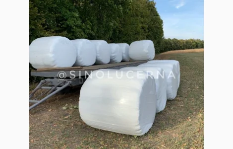 Продам сінаж з люцерни в круглих тюках