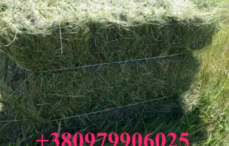 СЕНО полевое с люцерной в тюках