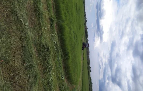 Сено в тюках