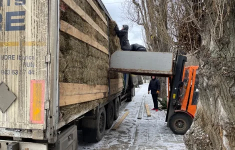 Продам лугове сіно в квадратних тюках, з безкоштовною доставкою