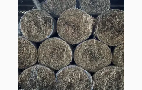Продам сіно люцерни в круглих тюках
