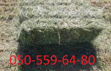 Продается эспарцет, Краматорськ