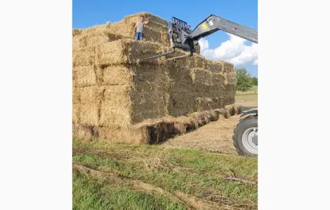 Продам солому пшеничну в тюках