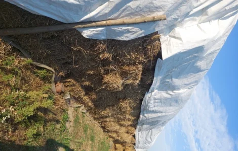 Продается солома в тюках