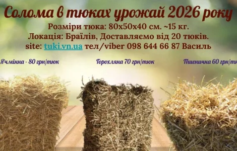 Тюки соломы пшеничной урожая 2024 года