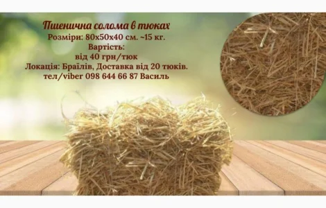Тюки пшеничної соломи урожаю 2024 року