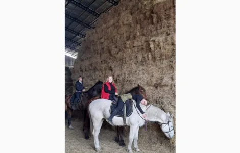 Продается солома в тюках