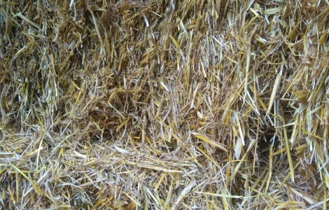 Пропонується тюкована пшенично-вівсяна солома