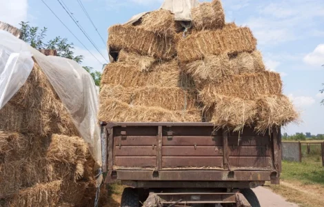 Продаж соломи – 280 тюків