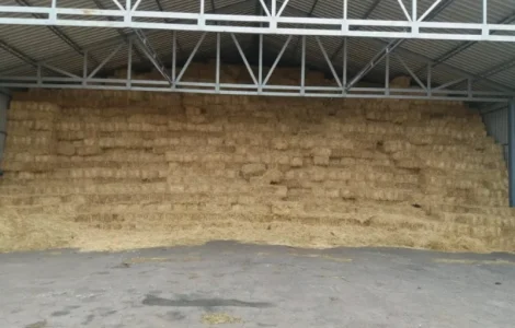 Продается солома в тюках по 10 кг