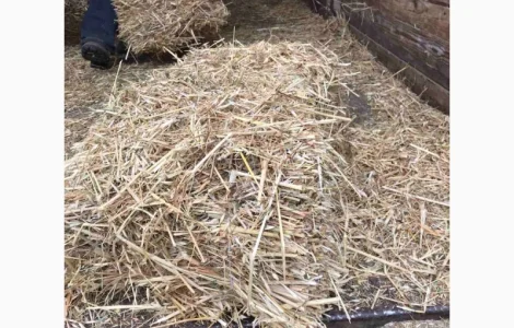 Тюкована солома для будівництва
