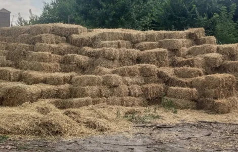 Продам солому в тюках