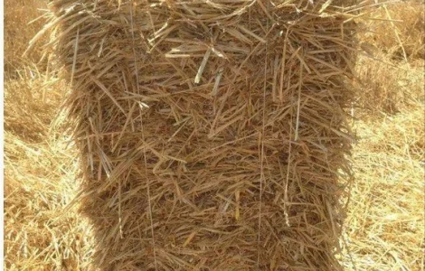 Солома в Тюках