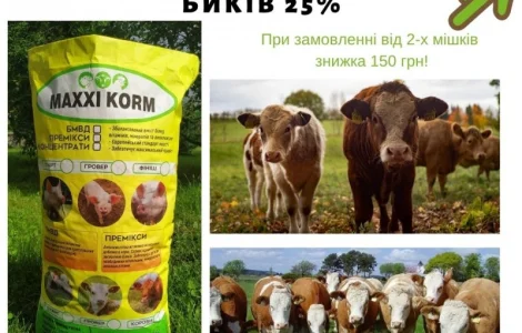 БМВД 25% для телят та бичків