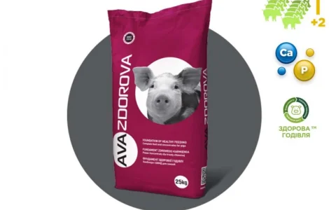 БМВД для свиноматок AVA ZDOROVA Супорос 10%