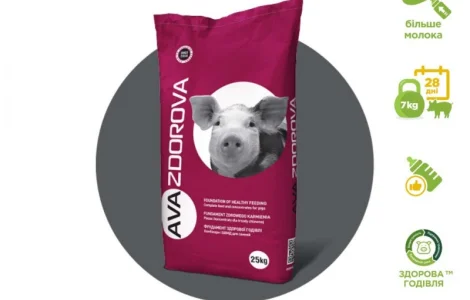 БМВД для лактуючих свиноматок AVA ZDOROVA ЛАКТО 20%