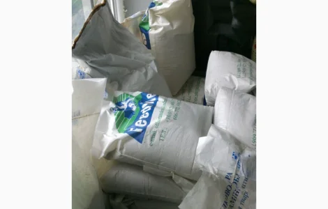 Преміум БМВД для лактуючих свиноматок ТМ Feedline