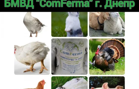БМВД "ComFerma" 30% Бройлер Старт – якісні добавки