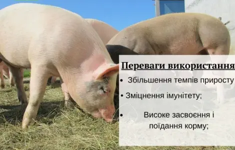 Премікс 1% для поросят старт(Швеція)