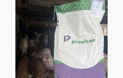 Премікс 2% для відгодівлі свиней