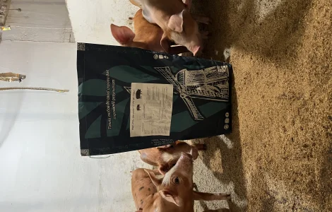 Премікс для свиней 2% від 30 до 110 кг